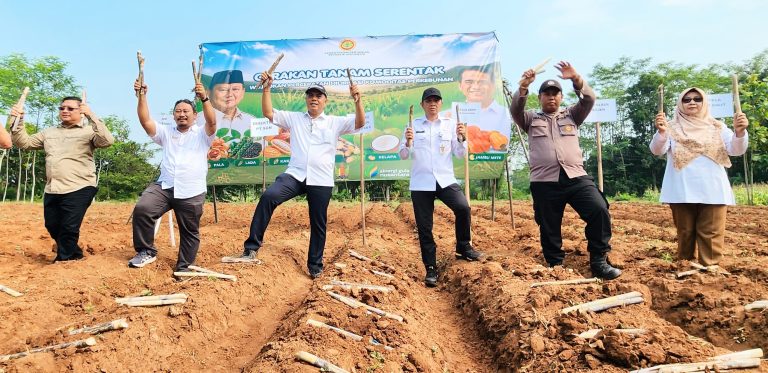 Kementan Dorong Percepatan Tanam Tebu, Perkuat Hilirisasi dan Swasembada Gula Nasional