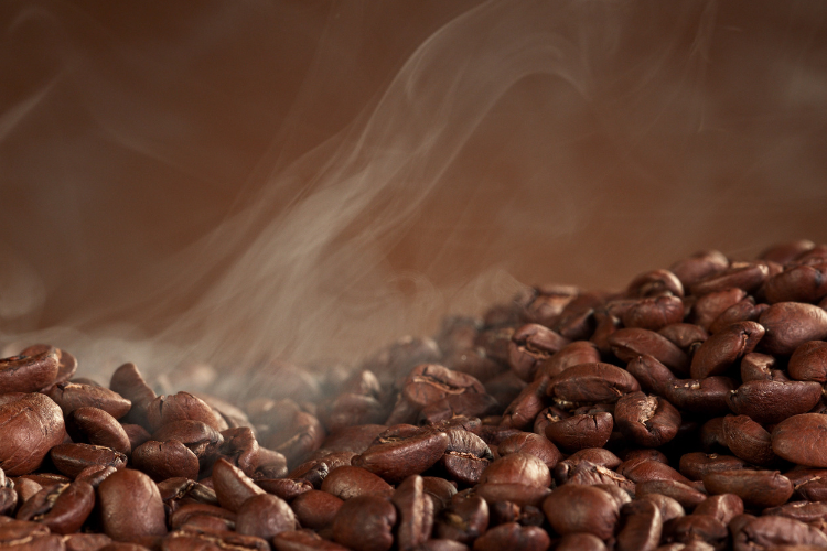 Paradoks Ekspor Kopi Meroket di Tengah Susutnya Produksi Nasional