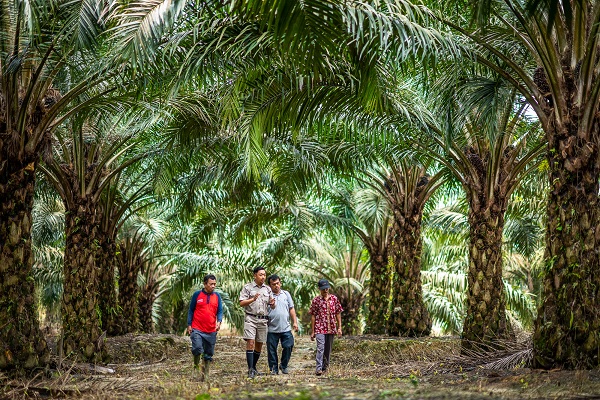 Cara Mendirikan Kelompok Tani di Indonesia: Syarat dan Prosedur