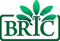 PT. Bhuana Raya